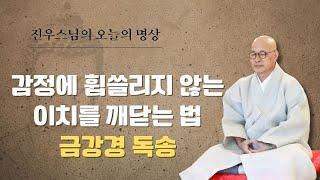 좋은 사람 만나고 좋은 일이 생기려면 - 한국불교 선명상 보급을 위한 1년의 기록 - 금강경독송 #선명상 #진우스님의오늘의명상 #자기수행