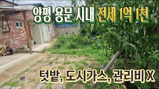 용문시내 1억1천 전세 주택 / 도시가스 / 텃밭