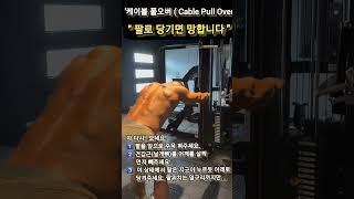 "케이블 풀오버(Cable Pull Over)" #pullover #armpulldown #gym #workout #backworkout #등운동 #암풀다운 #shorts