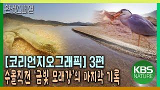 수몰직전 다시는 못볼 ‘금빛 모래강’의 마지막 기록 [코리언지오그래픽-3편 마지막 모래물길 내성천] / KBS 20141016 방송