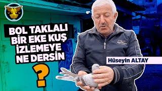 EKE GÜVERCİN SEYRİNE DAVETLİYİZ / Hüseyin ALTAY / ALTIN KANATLAR