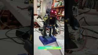 ROBOT HORIKAWA(RUTINA 1 CAMINAR)