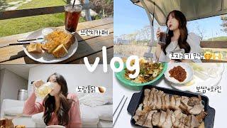 [일상 vlog] 힐링이 뭐 별거냐 집에 있어도 힐링이지️ ⎟ 브이에티크 | 쓰리나이트 간호사 브이로그⎟혼자놀기 만렙‍️⎟돈가스+메밀소바⎟노랑통닭⎟브런치카페⎟