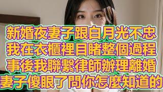 新婚夜妻子跟白月光不忠，我在衣櫃裡目睹整個過程，事後我聯繫律師辦理離婚，妻子傻眼了問你怎麼知道的