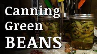 How to Pressure Can GREEN BEANS