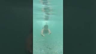 Swimming #viral #divesh #shorts #short #shortvideo #youtubeshorts #diveshforyou