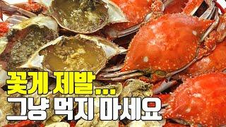 꽃게의 모든것! 이것만숙지하세요 찌는법,손질법,먹는법,보관법