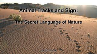 Intro to Animal Track Identification