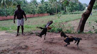 Kattu Tharai old memories.