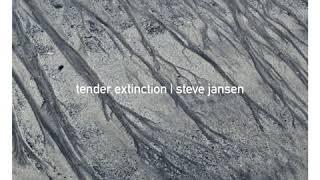 Steve Jansen - Captured (feat. Thomas Feiner)