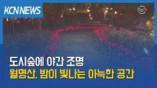 [금강방송] 도시숲에 야간 조명…월명산, 밤이 빛나는 아늑한 공간 변신