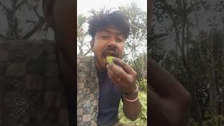 Fast Short vlogs ️ #vlog #shortvideo #shortvlogs