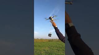 Dji Drone vs Chinese Drone #shorts #devkeexperiment