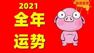 【生肖运势】属猪人士2021年全年运势