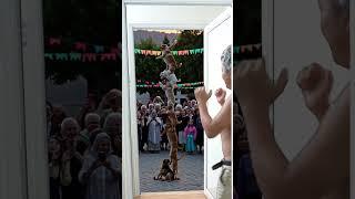 Absolutely amazing – the magician dogs!  . #short , #phunganfamily