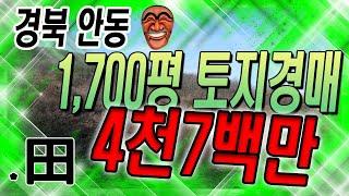 [부동산추천] 경북안동 1700평 토지 경매/ 권리분석 음성+자막v