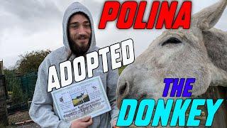 We have adopted Polina the Donkey