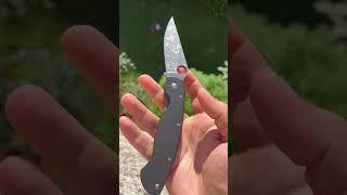 Spyderco Military custom blade punisher