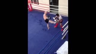 Szabó Végrehajtó Kína WKFO training