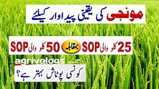 What is the difference between Sop 25kg and sop 50kg , How To use in Rice crop // visit agrivologs