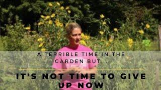 It's NOT time to give up now! Lessons learned. Can you relate?