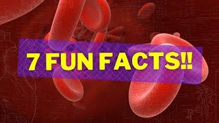 7 Fun Facts About Your Blood You Didn't Know