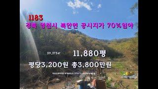 [번호 1183]영천시 북안면  공시지가 이하 임야 밭같은 임야 3,800만원