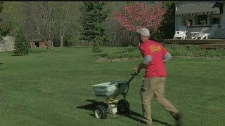 Veterinarian reveals most toxic lawn chemical for pets