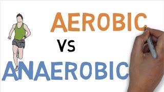 AEROBIC vs ANAEROBIC DIFFERENCE