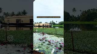 PREMIUM HOUSEBOATS AT ALLEPPEY AND KUMARAKOM | call : 8139851006 | Book Vacations Travel Company