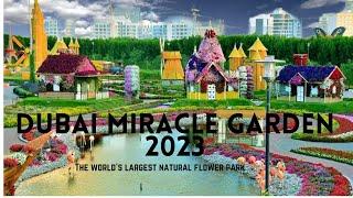 Dubai Miracle Garden 2023  world’s largest natural flower park