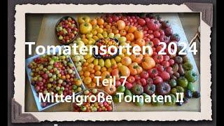 Tomatensorten 2024 Teil 7 - Mittelgroße Tomaten II