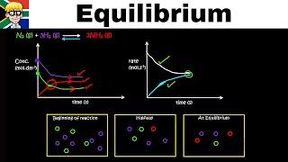 Equilibrium Graphs grade 12: Introduction