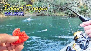 Bobber Doggin' The Cowlitz River For Monster Fish