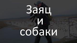 Славная Охота - на зайца с легавой