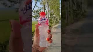 tahmina vlogs,tahmina chowdhury prity,tahmina,tahmina chowdhury vlog,tahmina chowdhury new vlog