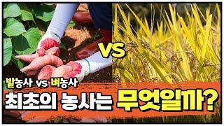 [중2 역사인강] 벼농사 vs 밭농사 벼농사가 시작된 시기와 밭농사와의 차이점을 알아보자!