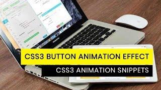 CSS3 Button Text Animation Effect | CSS3 Animation Snippets | Divinector