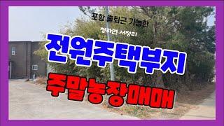 305  서정리 주말농장매매 청하면 전원주택부지매매 주말농장과 전원주택을 동시에 할수 있어요 포항부동산 청하부동산 포항으로 출퇴근이 가능한 땅매매 대나무가 많은 밭매매