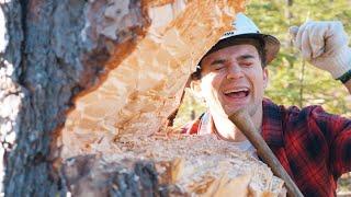 YouTube is Too Sensational, Here's Me Cutting Down a Tree