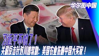 习近平不怕了！关税反击针对川普软肋：美国农业依赖中国大买家！李强两会不谈美国： 中国能为全球提供稳定性｜华尔街中国