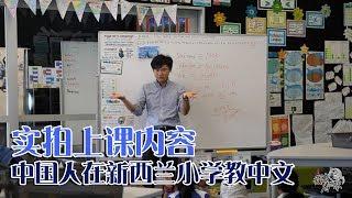 新西兰31集：新西兰小学教育，学生用ipads上课，基本没有作业【新西兰调查报告】