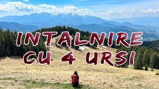 Sez.2/Ep.9 - Aventură în Piatra Mare: Întâlnire cu 4 Urși și un Cocoș de Munte!