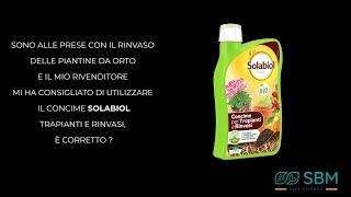 Solabiol Concime Liquido Trapianti e Rinvarsi