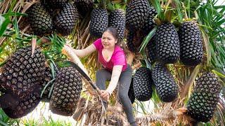 1 $ For 1 Fruit | Harvesting Black Wild Pineapple Goes to Market Sell | Hồng Ca Harvesting