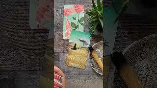 Are You Ready For LOVE?️‍ Then Keep Watching | Daily Tarot #messagefromspirit