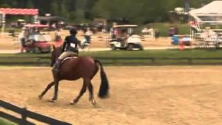 Video of Pilgrim De Blue Mery ridden by Corinne Macaulay from ShowNet!