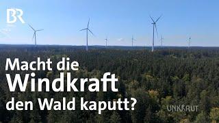 Windkraft im Wald für die Energiewende: Was bedeutet es für die Natur? | UNKRAUT | BR