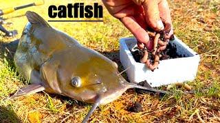 HOW TO CATCH CATFISH IN PONDS!