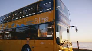 Northern Beaches B-Line Bus Service